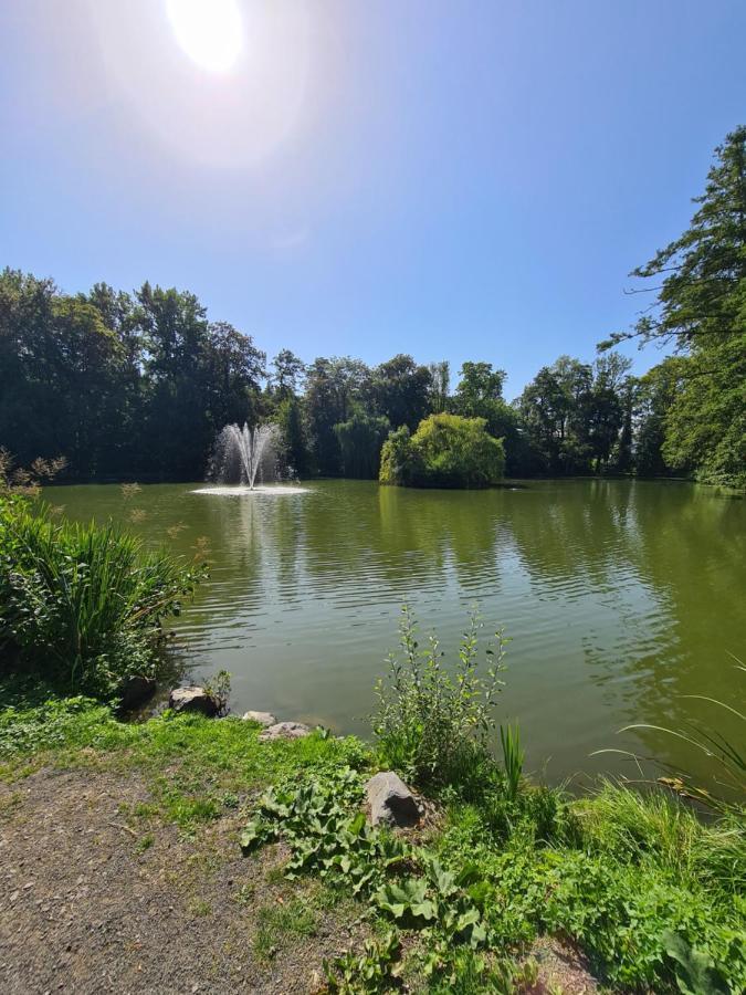 Apartament Fe Wo Nele Alsfeld Zewnętrze zdjęcie